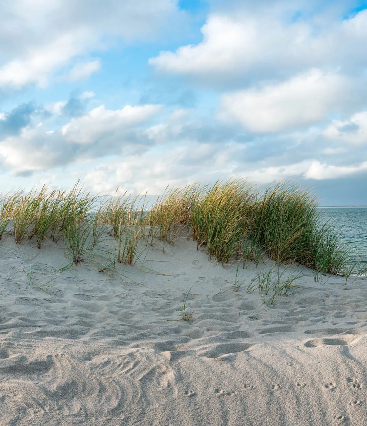 Photo of outdoor coast