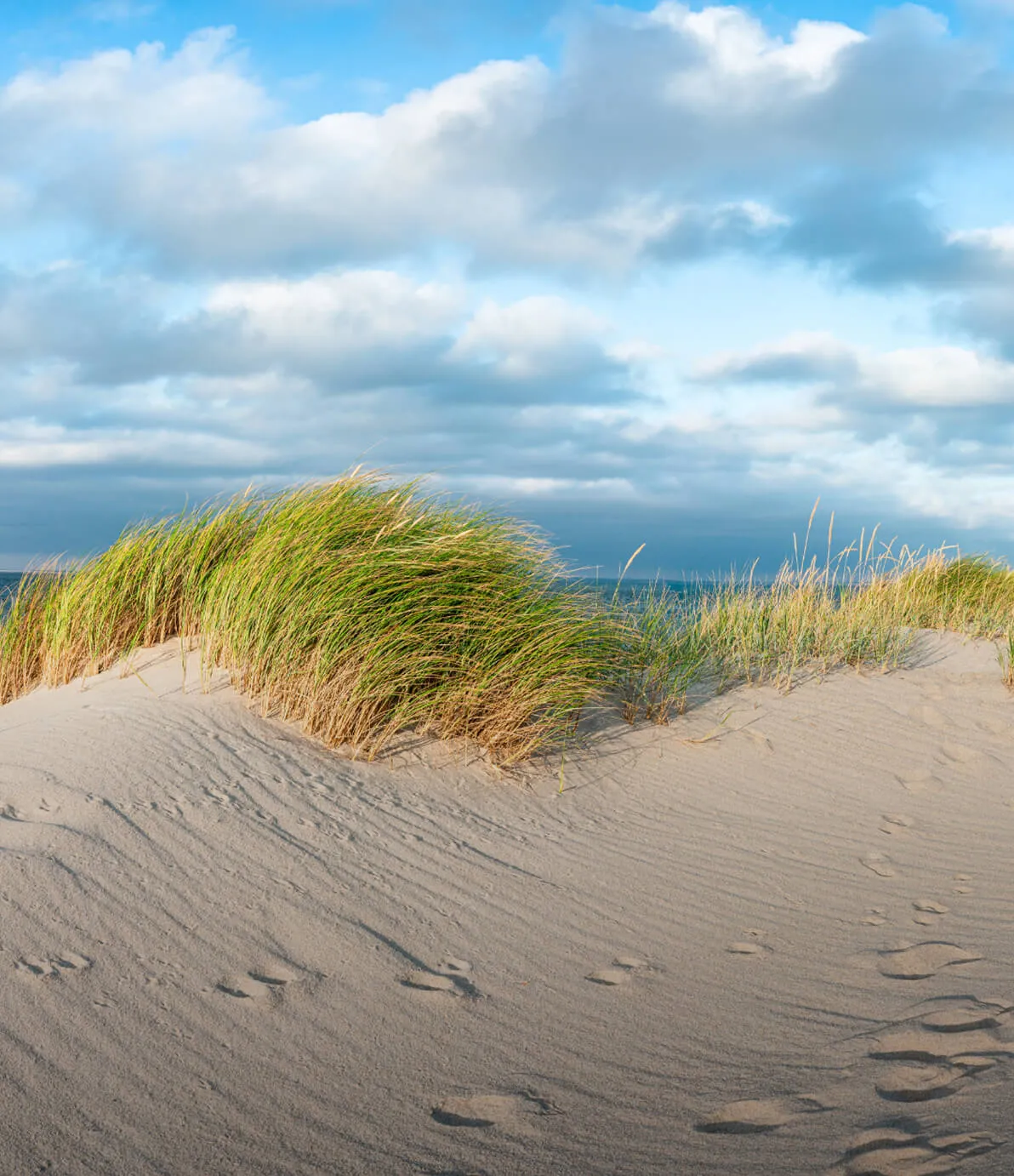 Photo of outdoor coast