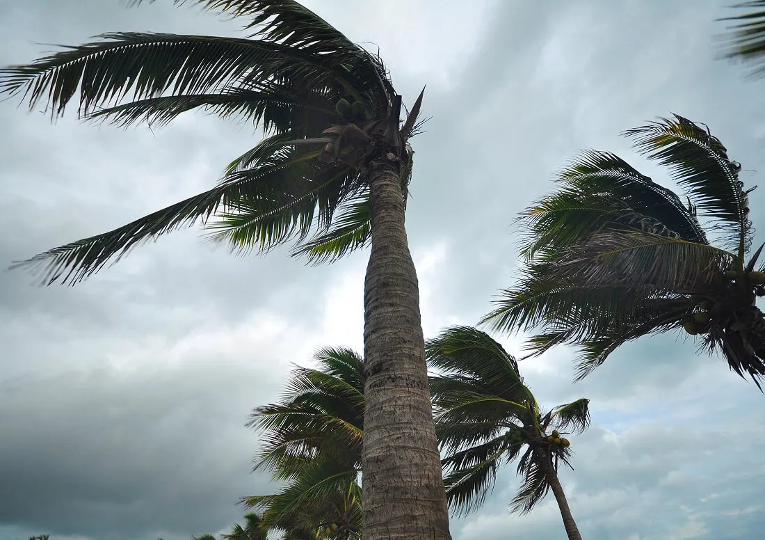 Hurricane Insurance