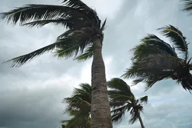 Hurricane Insurance