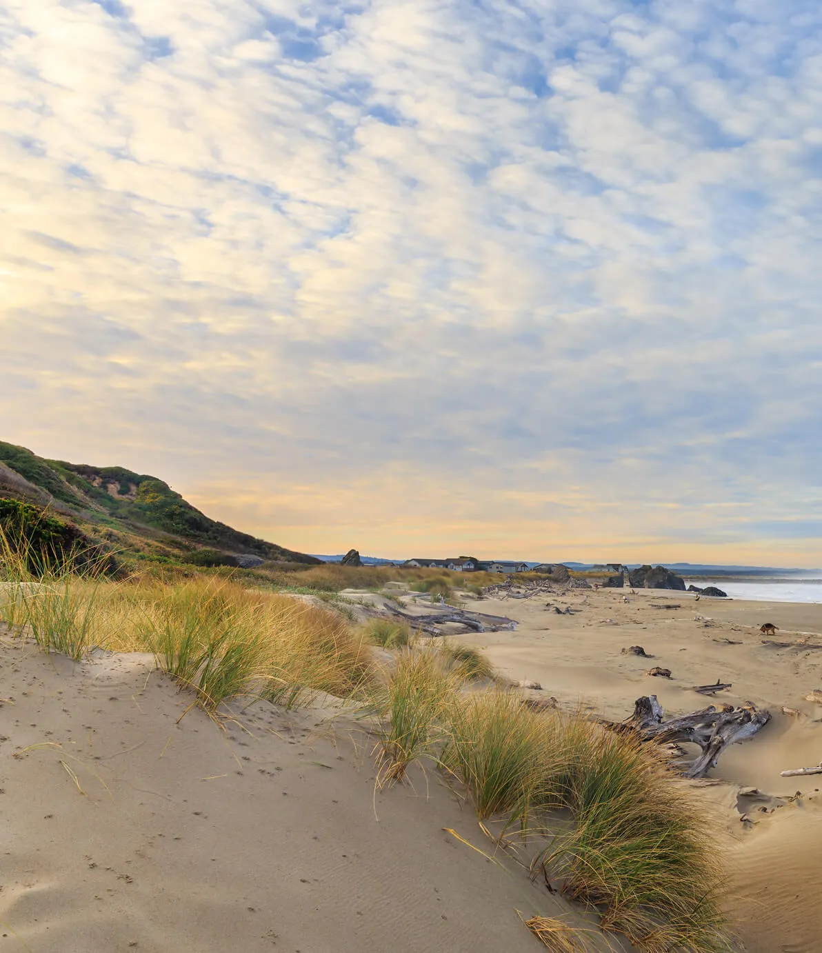 Photo of outdoor coast